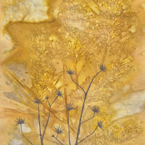 ECO-DYE BOTANICAL #4