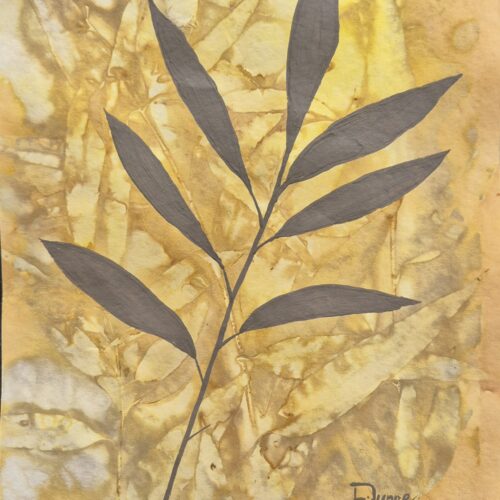 ECO-DYE BOTANICAL #5