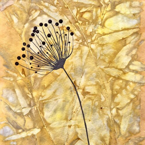 ECO-DYE BOTANICAL #3