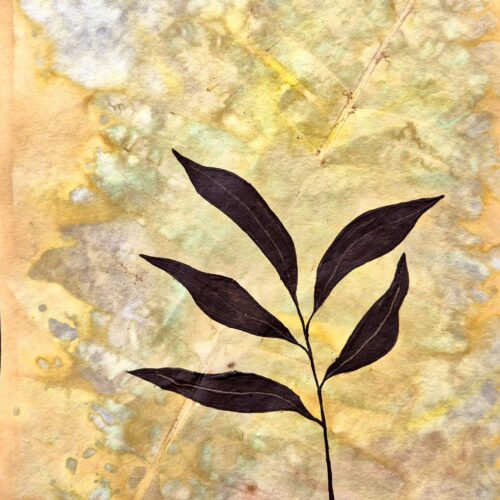 ECO-DYE BOTANICAL #1