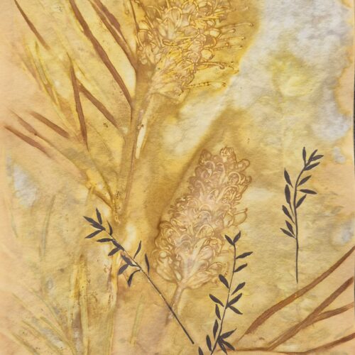 ECO-DYE BOTANICAL #2